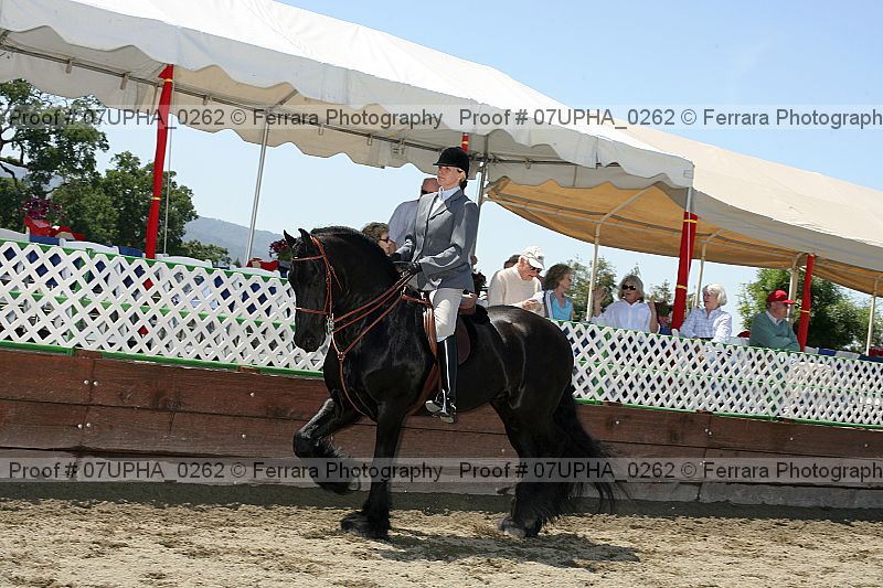 Proof 07upha_0262