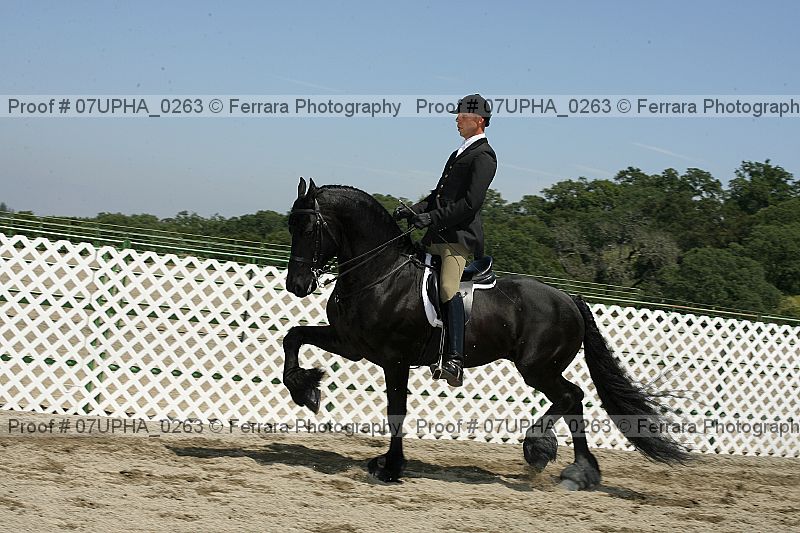 Proof 07upha_0263