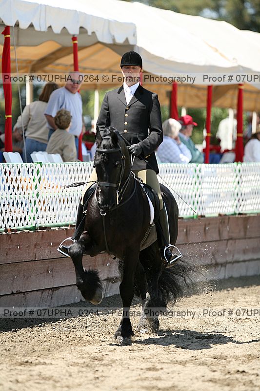 Proof 07upha_0264