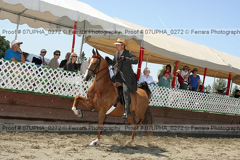 Proof 07upha_0272