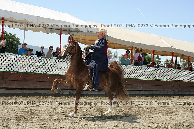Proof 07upha_0273