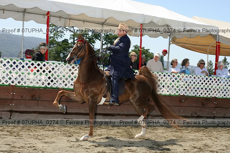 Proof 07upha_0274