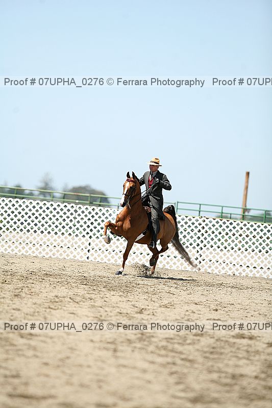 Proof 07upha_0276