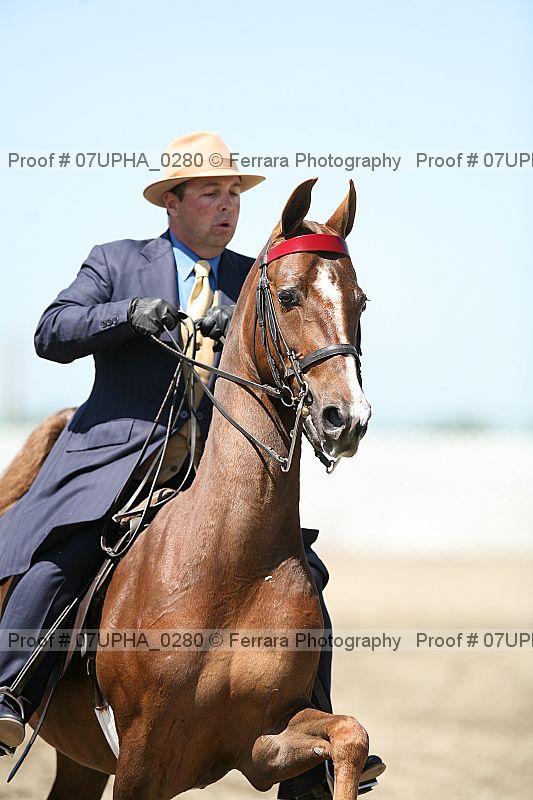 Proof 07upha_0280