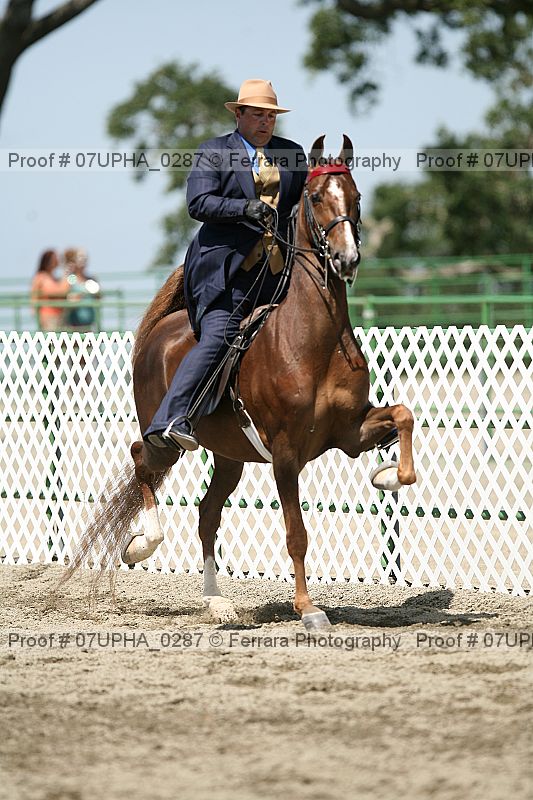 Proof 07upha_0287