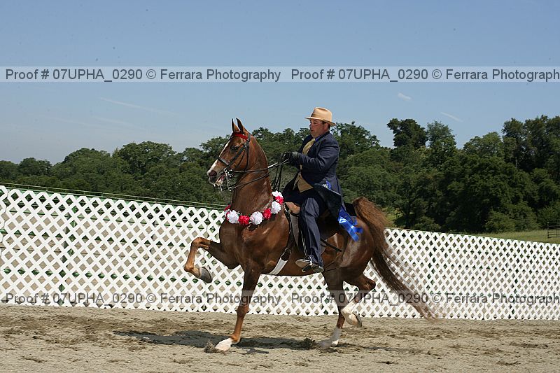 Proof 07upha_0290