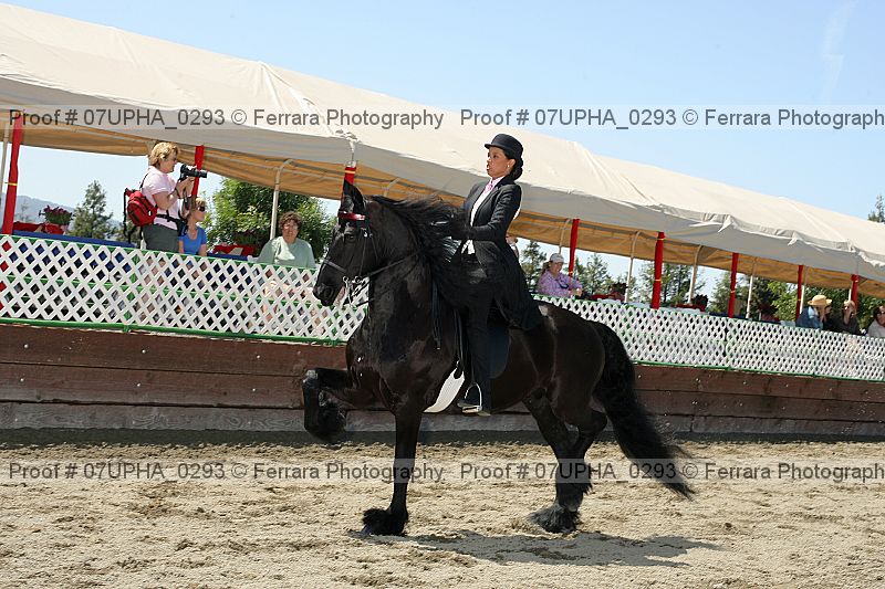 Proof 07upha_0293