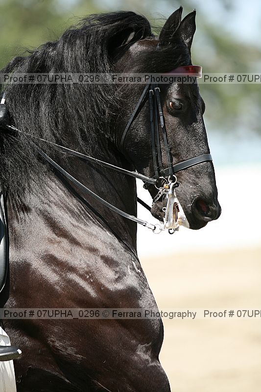 Proof 07upha_0296