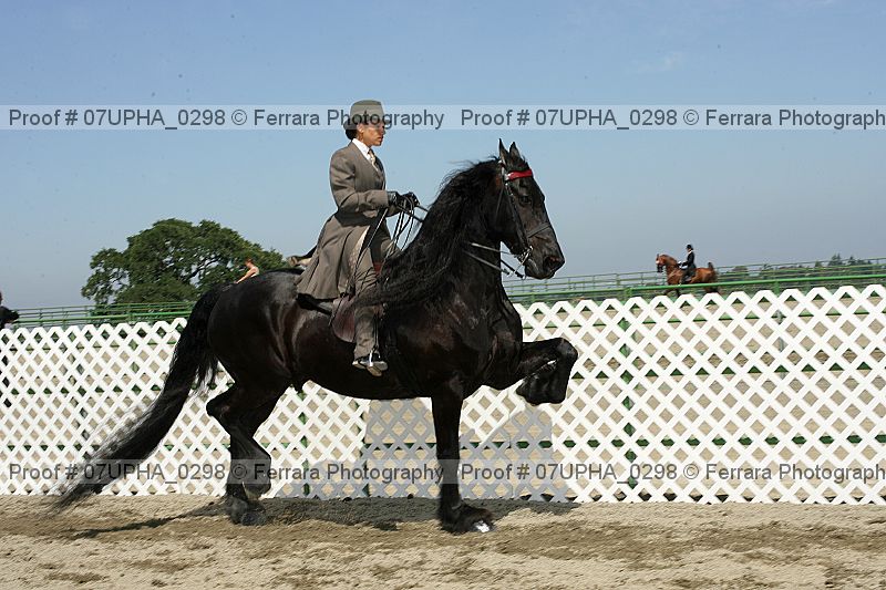 Proof 07upha_0298