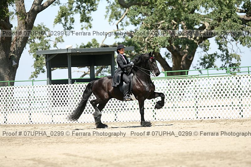 Proof 07upha_0299
