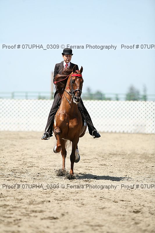 Proof 07upha_0309