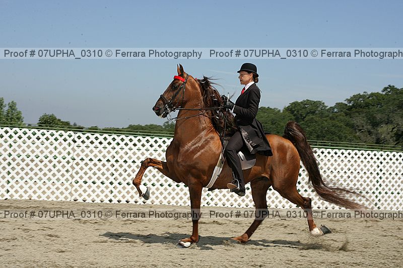 Proof 07upha_0310