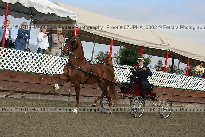 Proof 07upha_0002