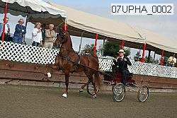 07upha_0002 proof