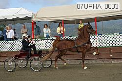 07upha_0003 proof