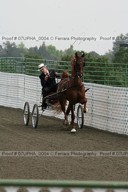 Proof 07upha_0004
