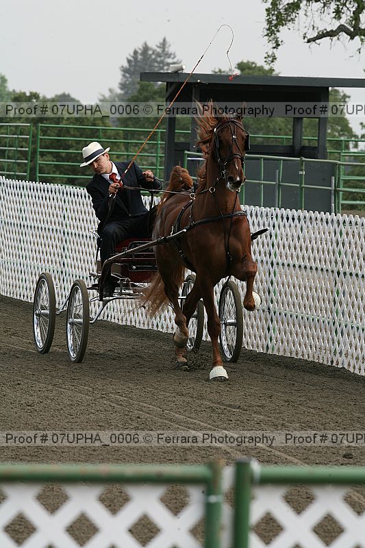Proof 07upha_0006