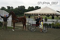 07upha_0007 proof