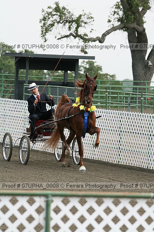 Proof 07upha_0008