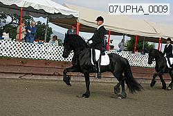 07upha_0009 proof