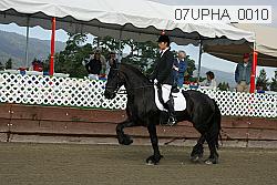 07upha_0010 proof