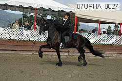 07upha_0027 proof