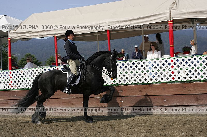 Proof 07upha_0060