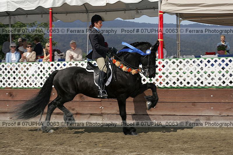 Proof 07upha_0063
