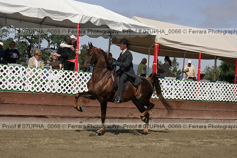 Proof 07upha_0066