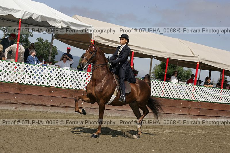 Proof 07upha_0068