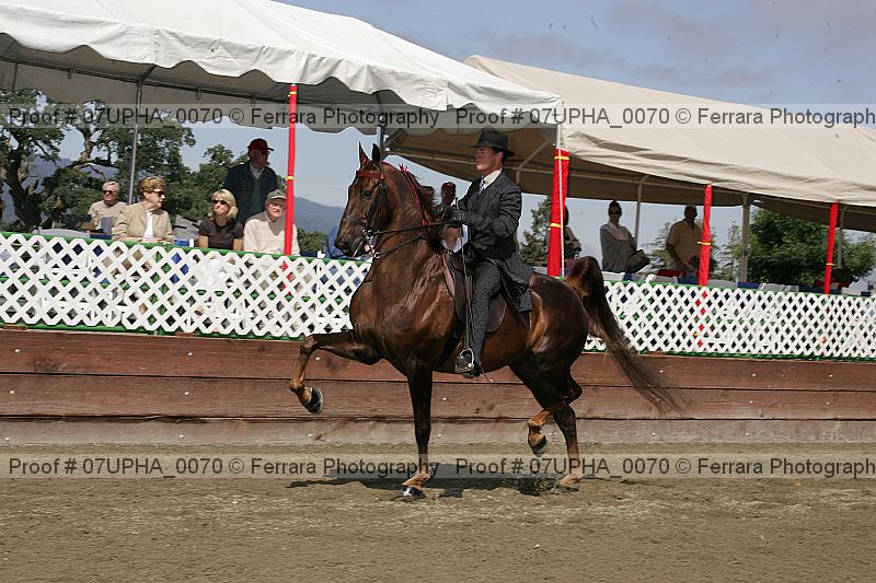 Proof 07upha_0070