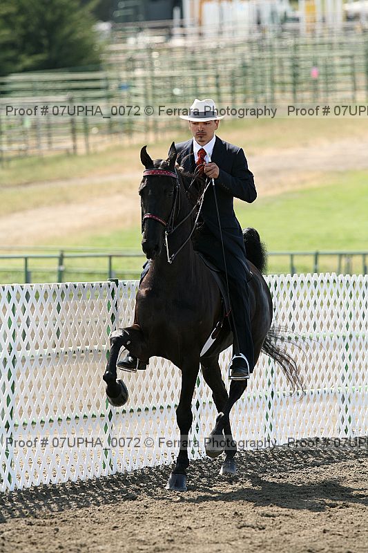 Proof 07upha_0072