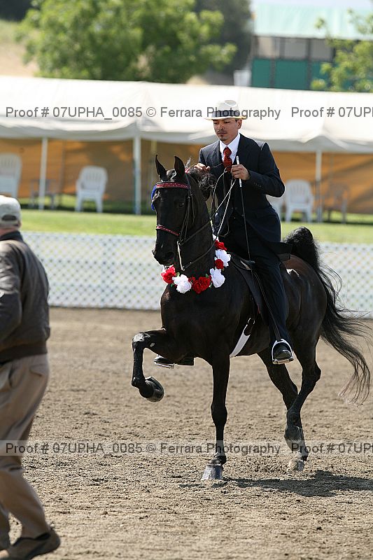 Proof 07upha_0085