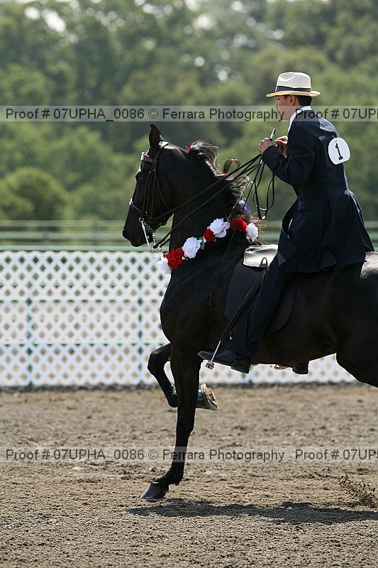 Proof 07upha_0086