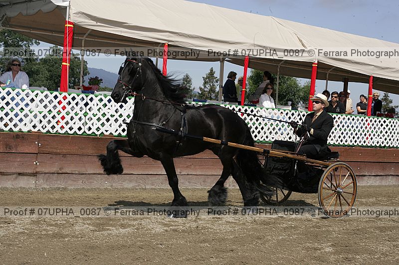 Proof 07upha_0087