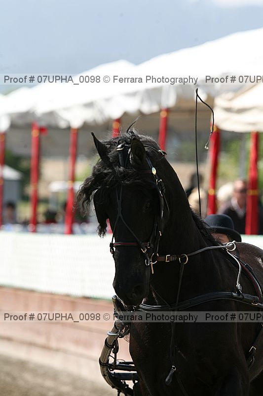 Proof 07upha_0098