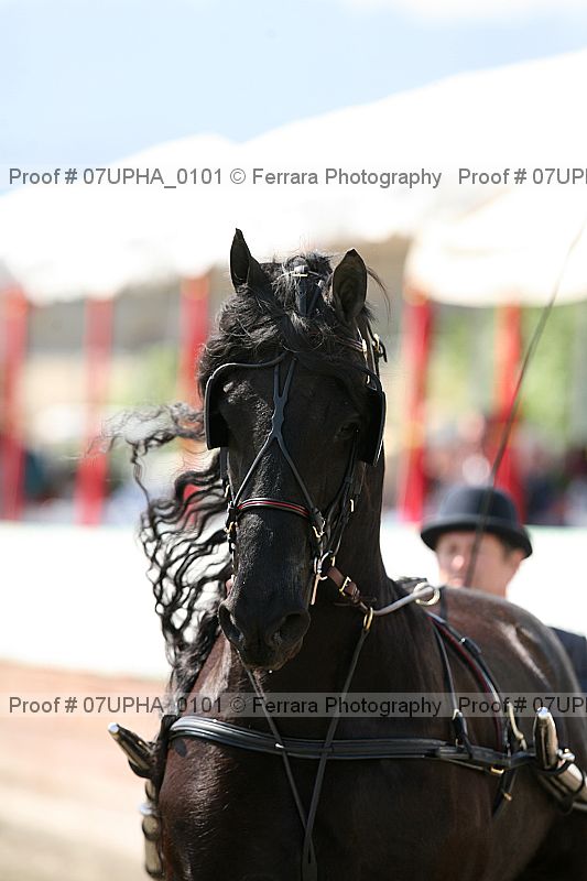 Proof 07upha_0101