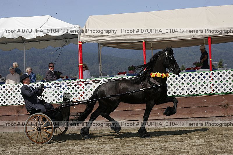 Proof 07upha_0104