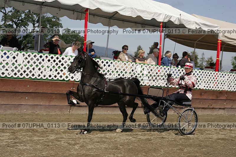 Proof 07upha_0113