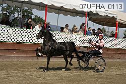 07upha_0113 proof