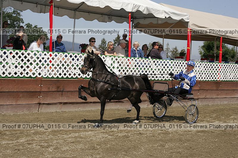 Proof 07upha_0115