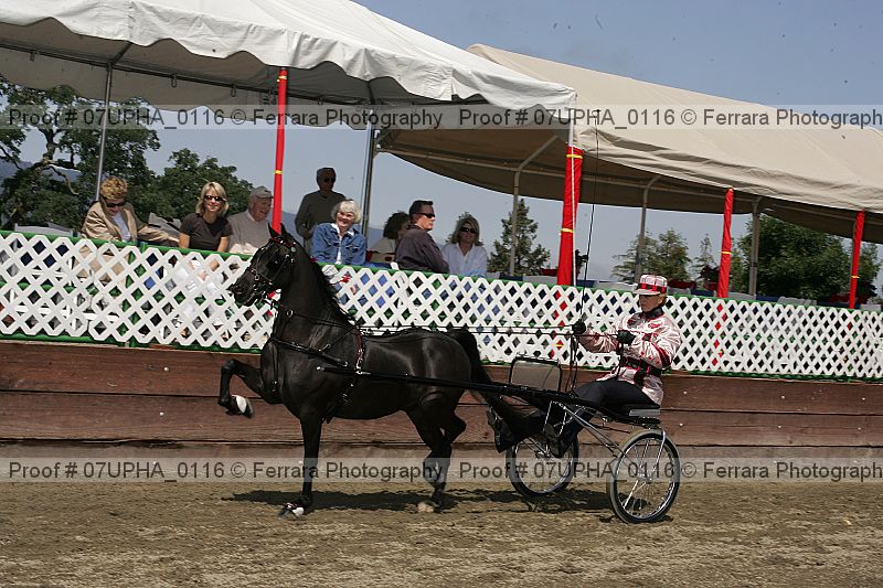 Proof 07upha_0116