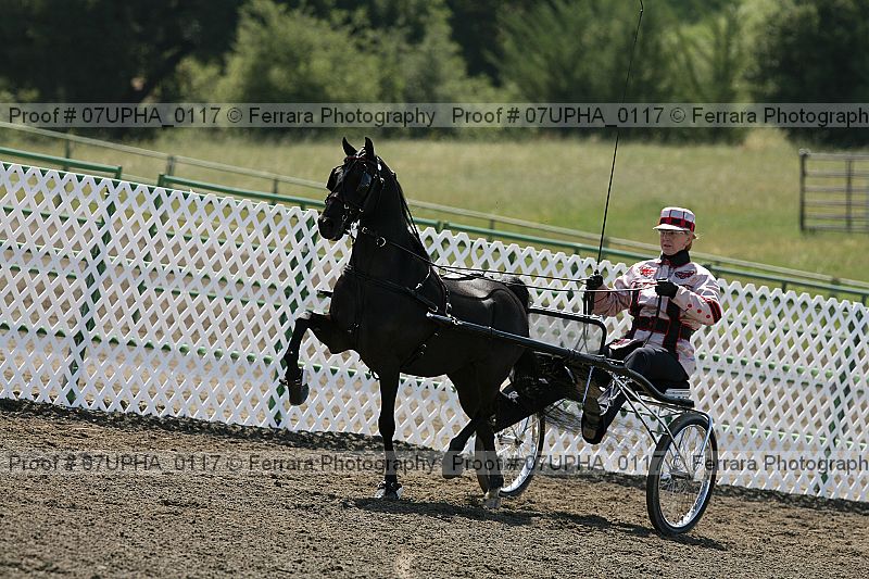 Proof 07upha_0117