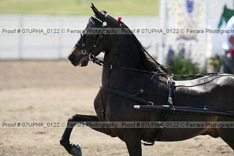 Proof 07upha_0122