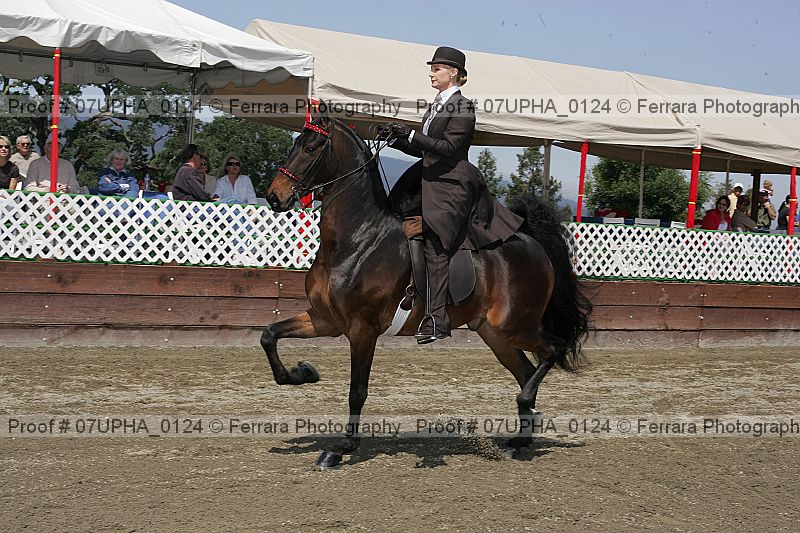 Proof 07upha_0124
