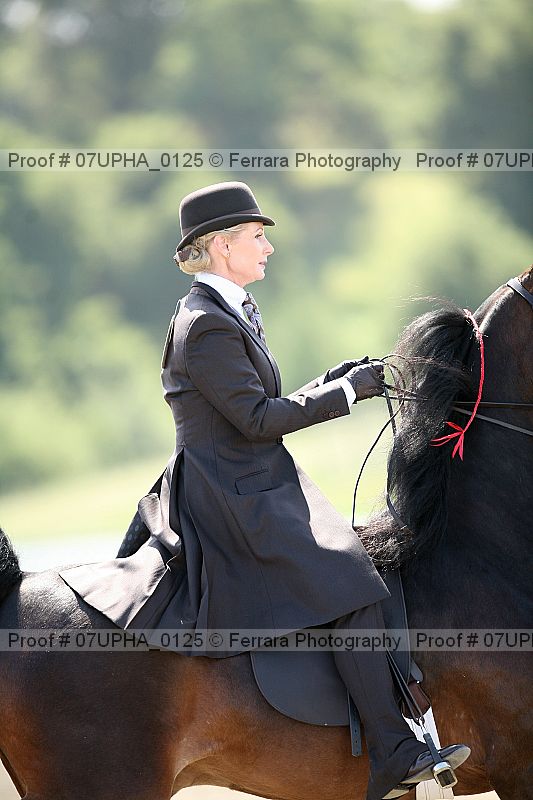 Proof 07upha_0125