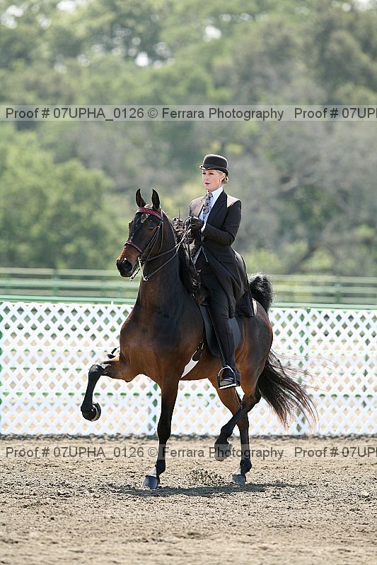 Proof 07upha_0126