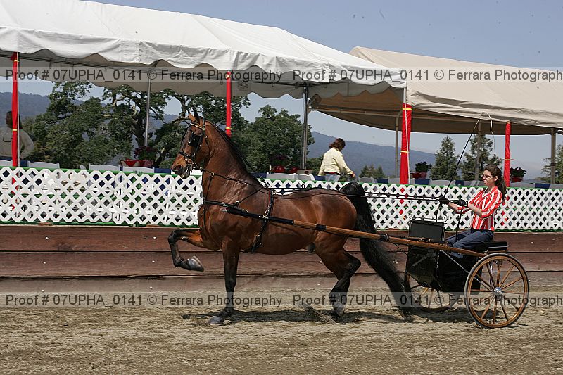 Proof 07upha_0141