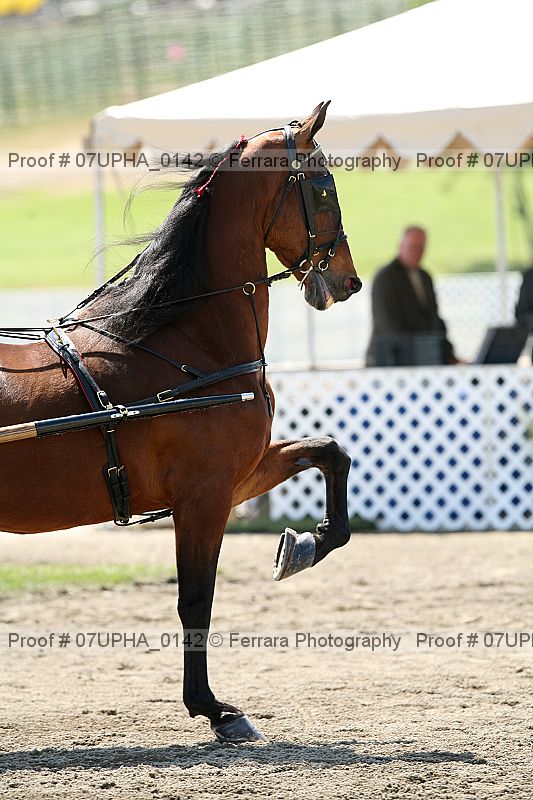 Proof 07upha_0142