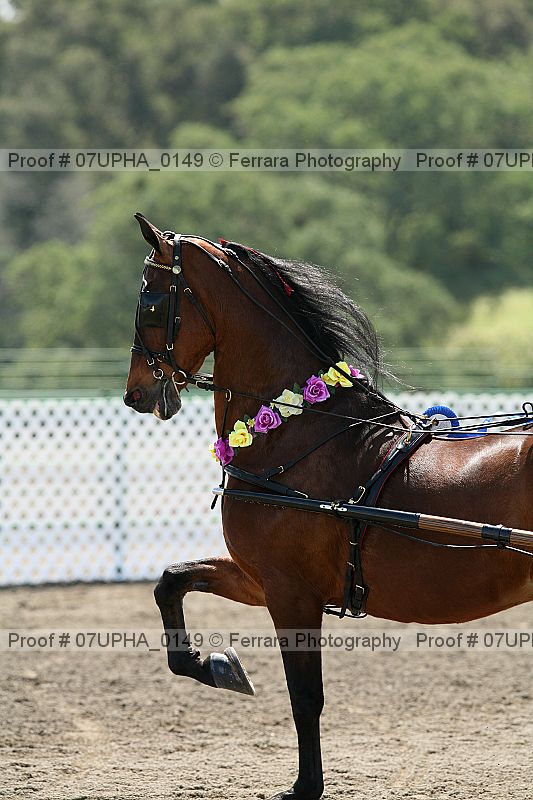 Proof 07upha_0149